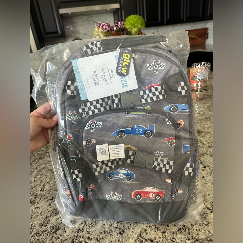 Potter Barn backpack